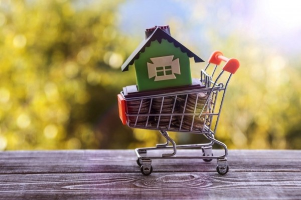 Домашняя ипотечка Домашняя ипотечка