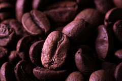 Азиатская страна решила поставлять важный товар в Россию вместо США Азиатская страна решила поставлять важный товар в Россию вместо США