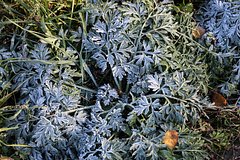 Россиянам пообещали заморозки