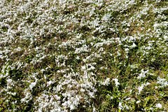 Синоптики зафиксировали температуру ниже нормы на всей территории России