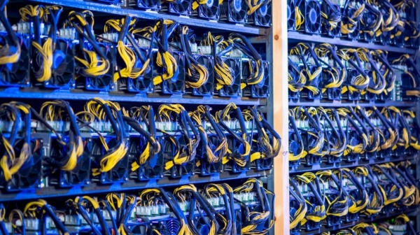 В Ленинградской области обнаружена крупная нелегальная майнинг ферма