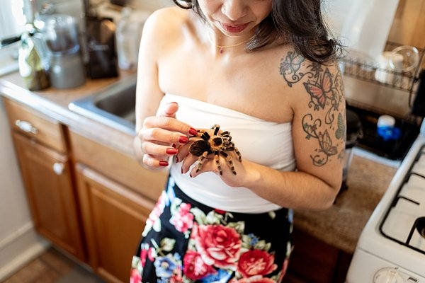 Волки, лисы и пауки. Россияне все чаще заводят дома экзотических животных. Зачем им это нужно? Волки, лисы и пауки. Россияне все чаще заводят дома экзотических животных. Зачем им это нужно?