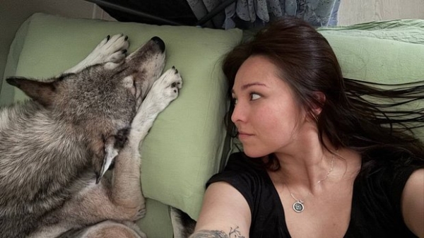 Волки, лисы и пауки. Россияне все чаще заводят дома экзотических животных. Зачем им это нужно? Волки, лисы и пауки. Россияне все чаще заводят дома экзотических животных. Зачем им это нужно?