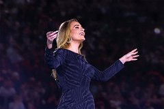 Адель полностью переделала бывший особняк Сильвестра Сталлоне Адель полностью переделала бывший особняк Сильвестра Сталлоне