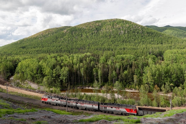 РЖД столкнулись с финансовыми проблемами. Как крупнейшая компания будет их решать? РЖД столкнулись с финансовыми проблемами. Как крупнейшая компания будет их решать?
