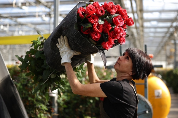 &laquo;Стремимся вернуть себе радость&raquo; Россияне стали чаще покупать цветы. Почему цветочные магазины при этом закрываются по всей стране?