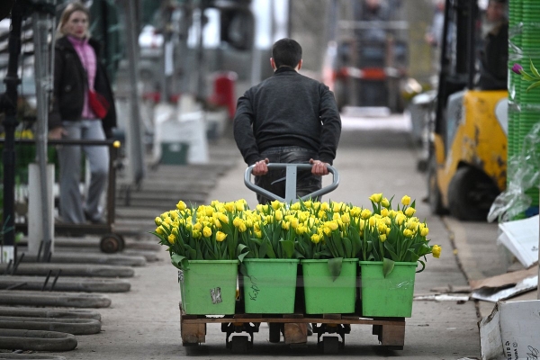 &laquo;Стремимся вернуть себе радость&raquo; Россияне стали чаще покупать цветы. Почему цветочные магазины при этом закрываются по всей стране?