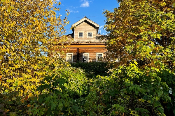 У дачников начнут отнимать участки за невырубленные деревья. От каких деревьев нужно избавиться, чтобы не нарваться на штраф?