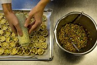 Миру предсказали ужасающий продовольственный кризис из-за конфликта США и Ирана. Избежит ли человечество глобального голода? Миру предсказали ужасающий продовольственный кризис из-за конфликта США и Ирана. Избежит ли человечество глобального голода?