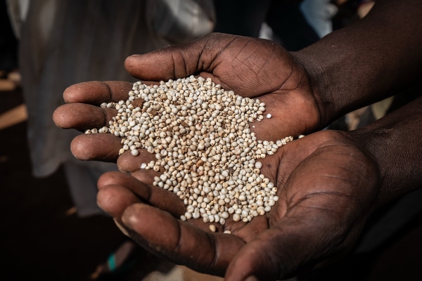 Миру предсказали ужасающий продовольственный кризис из-за конфликта США и Ирана. Избежит ли человечество глобального голода? Миру предсказали ужасающий продовольственный кризис из-за конфликта США и Ирана. Избежит ли человечество глобального голода?