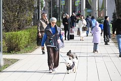 Москвичам пообещали майскую погоду Москвичам пообещали майскую погоду