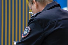 Мошенники прописали в квартире россиянки 55 человек