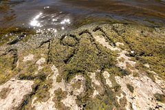 На Эльбе вследствие засухи обнажились &laquo;голодные камни&raquo;