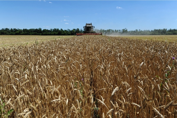 Из-за волн засухи и ливней треть фермеров в России оказалась под угрозой банкротства. Останутся ли россияне без овощей и фруктов? Из-за волн засухи и ливней треть фермеров в России оказалась под угрозой банкротства. Останутся ли россияне без овощей и фруктов?
