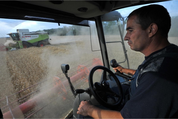 Из-за волн засухи и ливней треть фермеров в России оказалась под угрозой банкротства. Останутся ли россияне без овощей и фруктов? Из-за волн засухи и ливней треть фермеров в России оказалась под угрозой банкротства. Останутся ли россияне без овощей и фруктов?