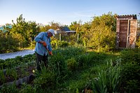 Россиянам назвали способы сделать воду из колодца безопасной для питья