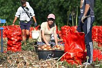 Ученые зафиксировали на Земле начало масштабной климатической катастрофы. Она коснется миллиардов людей