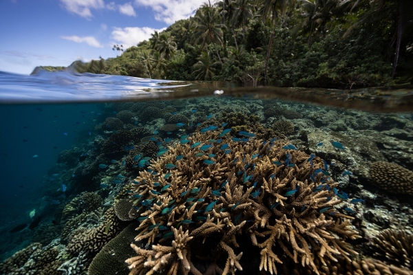 Ученые зафиксировали на Земле начало масштабной климатической катастрофы. Она коснется миллиардов людей