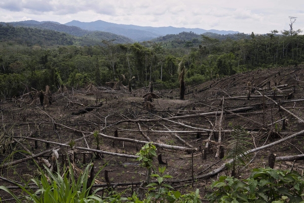 Ученые зафиксировали на Земле начало масштабной климатической катастрофы. Она коснется миллиардов людей