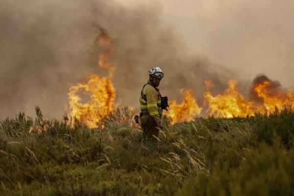 Ученые зафиксировали на Земле начало масштабной климатической катастрофы. Она коснется миллиардов людей